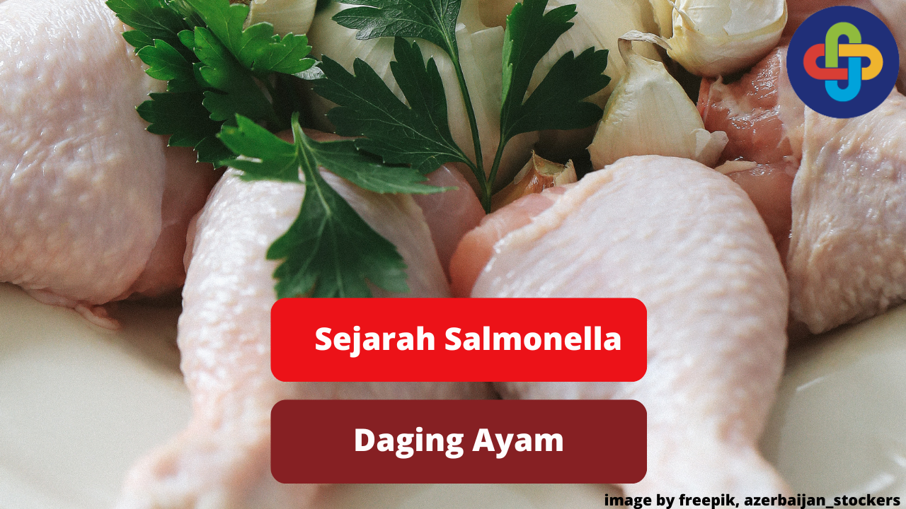 Berikut Ini Catatan Sejarah Kasus Salmonella Daging Ayam